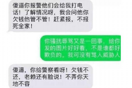 麻章企业清欠服务